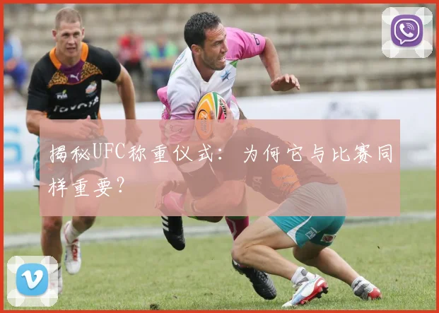揭秘UFC称重仪式:为何它与比赛同样重要?