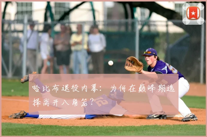 哈比布退役内幕:为何在巅峰期选择离开八角笼?